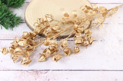 Miechunka mieniąca  gałąź  XLIU030 gold