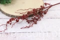 24059.JPG