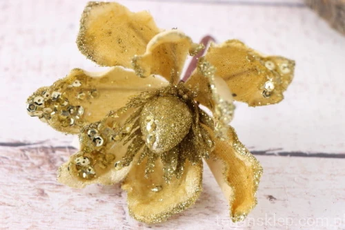 24492.JPG