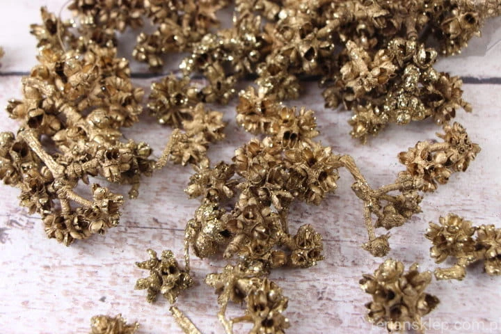 24499.JPG
