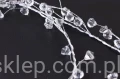 24525.JPG