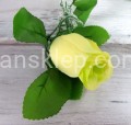 IMG_8285.jpg