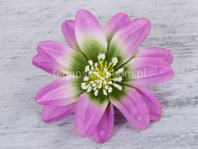 Dalia wyrobowa L022 (12 szt) pink green S086