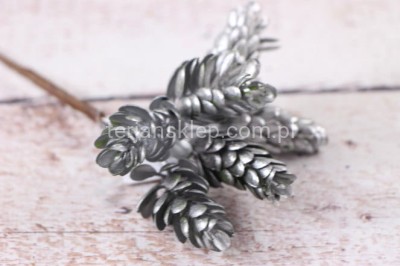 Szyszki plastikowe na pikach CV34114 silver #1