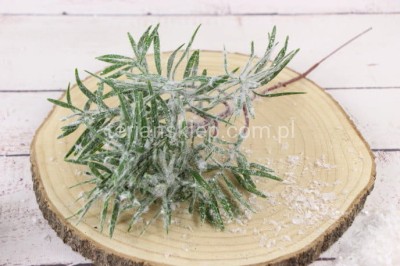 Gałązka ośnieżona ROZMARYN EV349 