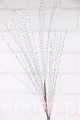 24790.JPG