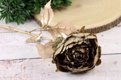 Peonia pozłacana VINTAGE  gałązka XKLM1021 champagne