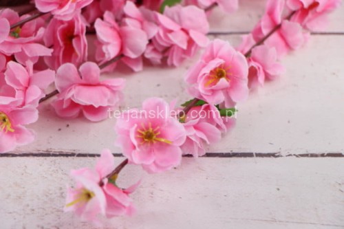 25159.JPG