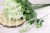 25234.JPG