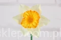 25269.JPG