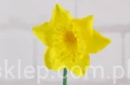 25279.JPG