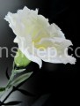 IMG_8989.JPG
