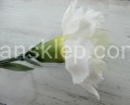 IMG_8986.JPG