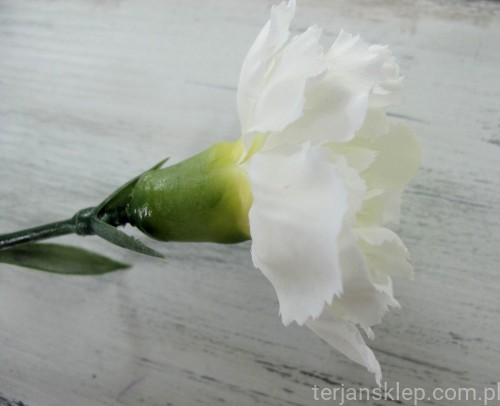 IMG_8986.JPG