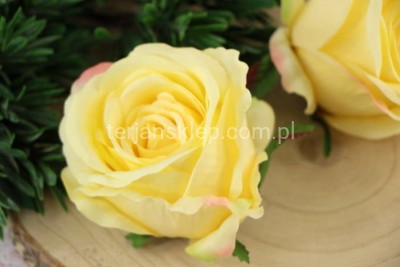 Róża wyrobowa SUN388 (12 szt) yellow #3183