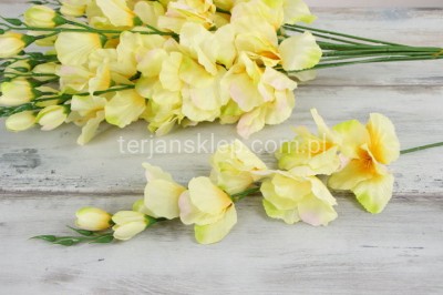 Mieczyk BL019 ABC (12 szt) yellow green