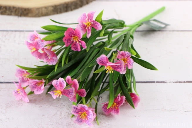 26004.JPG
