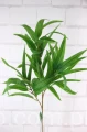 25982.JPG