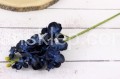 26352.JPG