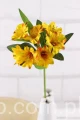 26394.JPG