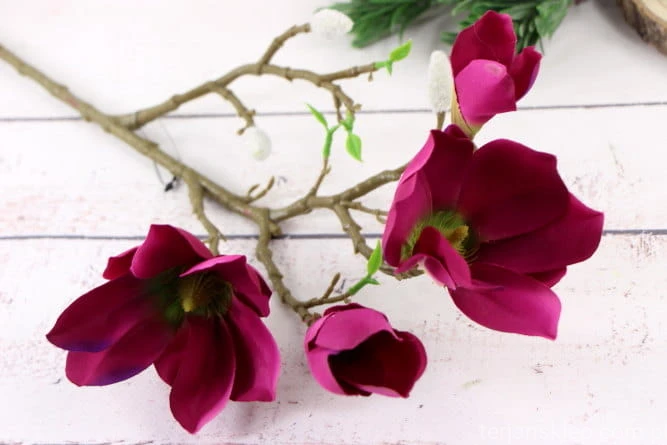 26464.JPG