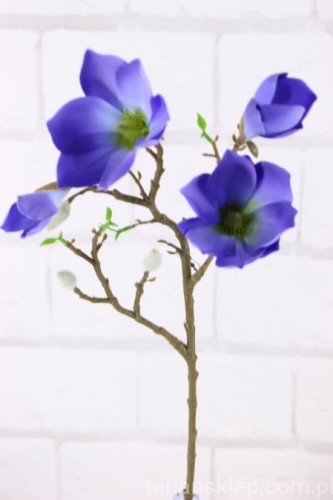 26485.JPG
