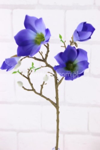 26485.JPG