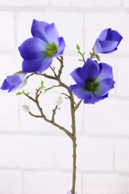 26485.JPG