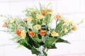 26646.JPG