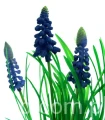48e5ff9c14bee3e86c1f29eac168511a5be17b22