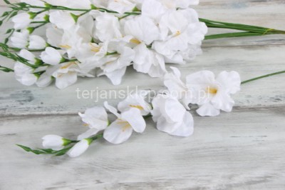 Mieczyk BL019 ABC (12 szt) white