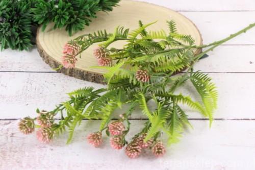 26697.JPG