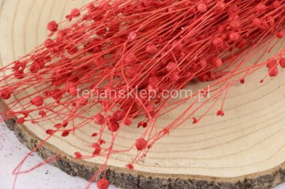 LEN suszony (pęczek) 50 g VIP5938 dark pink / koral #2