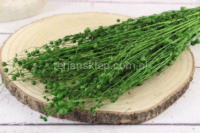 LEN suszony (pęczek) 50 g VIP5938 olive #34