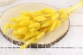 26912.JPG