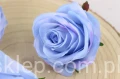 26937.JPG