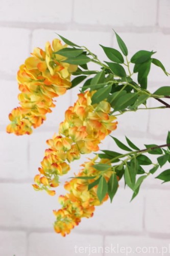 26985.JPG