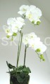 0378404da8bd6ebf3d83c1403a8c75ae7b741136