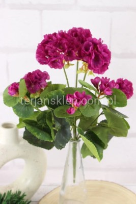 Pelargonie bukiet CK125 beauty