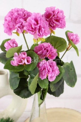 Pelargonie bukiet CK125 pink/lila