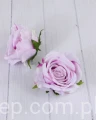 00004674.JPG