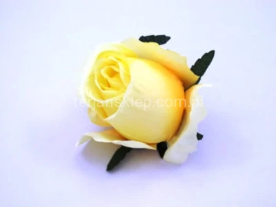 Róża F036 (12 szt) new aut yellow