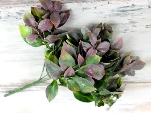00002466.JPG
