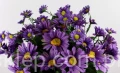 IMG_4649.JPG