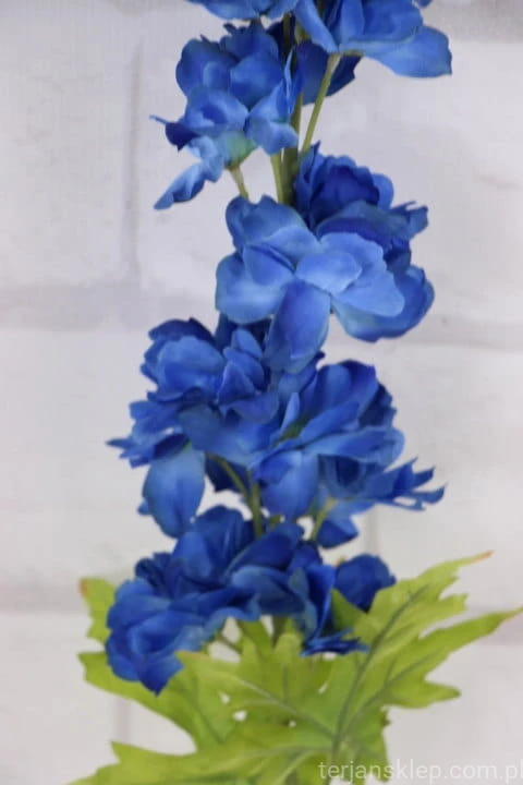 27575.JPG