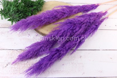 Trawa pampasowa VIP5549 (3 szt)  lt violet #7