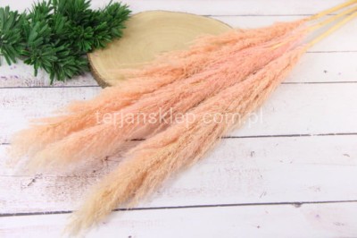 Trawa pampasowa (3 szt) VIP5549 lt pink #3