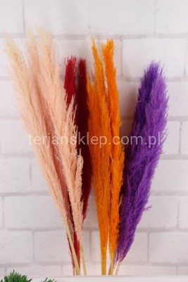 Trawa pampasowa (3 szt) VIP5549 red #16