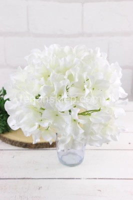 Hortensja wyrobowa GIGANT CV34800 white cream #1