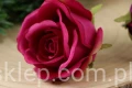 27849.JPG